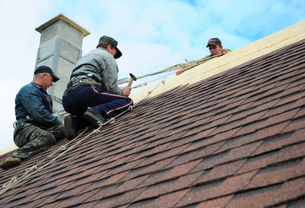 Best Storm Damage Roof Repair  in Kendall, FL